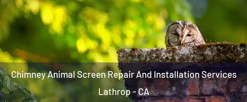  Chimney Animal Screen Repair And Installation Services Lathrop - CA