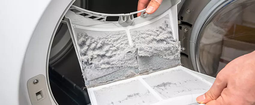 Best Dryer Lint Removal Company in Lathrop, California