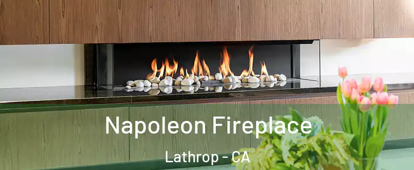  Napoleon Fireplace Lathrop - CA